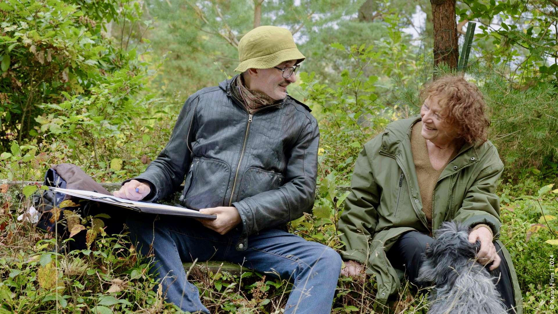 LA DISPARITION DES LUCIOLES